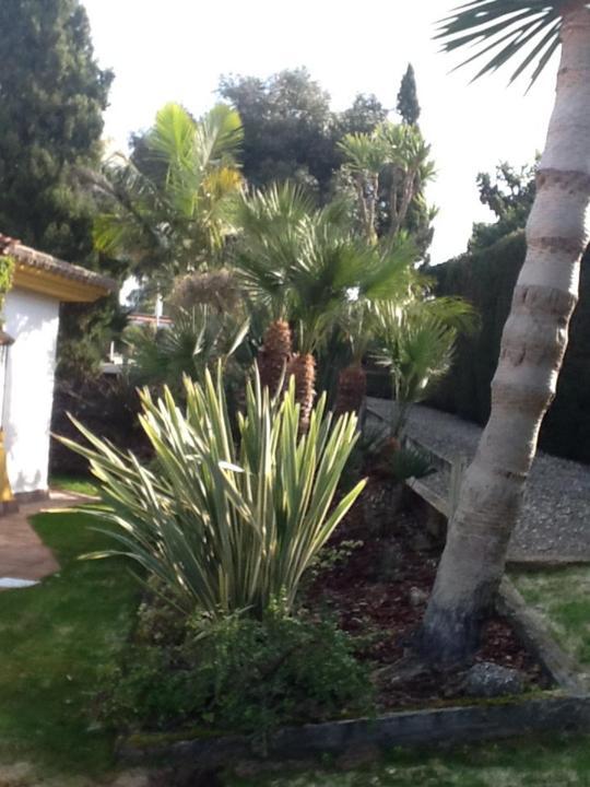 Apartamento Casa las ciguenas Vejer de la Frontera Exterior foto
